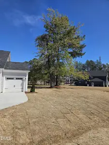 New construction Single-Family house 7321 Prato Ct, Wendell, NC 27591 plan Clearwater - image