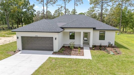 New construction Single-Family house 4380 Sw 159Th Ct, Ocala, FL 34481 - image