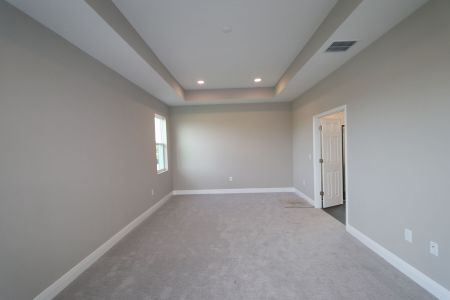 New construction Single-Family house 31229 Denham Ridge Ln, Wesley Chapel, FL 33545 Newport II- photo 73 73