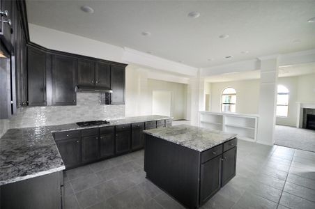 New construction Single-Family house 2207 Dorado St, League City, TX 77539 - image 7