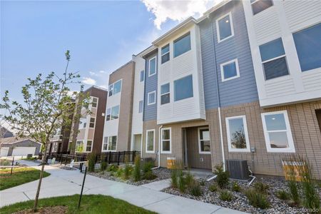 New construction Townhouse house 14261 Currant St, Broomfield, CO 80020 plan View Series - Antora - image