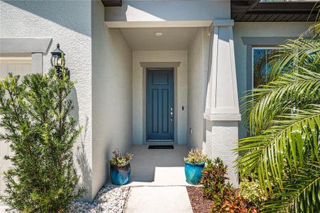 New construction Single-Family house 14146 Samoa Hill Ct, Riverview, FL 33569 Yorkshire - photo 3 3