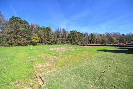 New construction Single-Family house 281 Abingdon Farms Drive, Selma, NC 27576 Buckhorn- photo 36 36