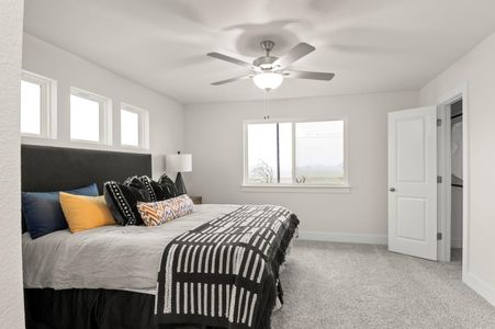 New construction Condo house 803 White Steppe Wy, Georgetown, TX 78626 plan Brazos - image
