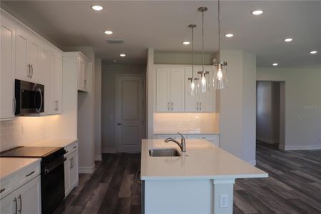 New construction Single-Family house 1032 E Allegrie Dr, Inverness, FL 34453 null- photo 14 14