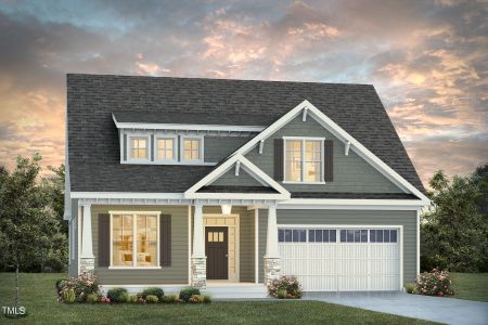 New construction Single-Family house 173 Big Bradley Dr, Wendell, NC 27591 - image