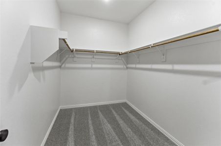 New construction Single-Family house 15113 Green Bluff Dr, Aledo, TX 76008 plan Cascade II - image 15