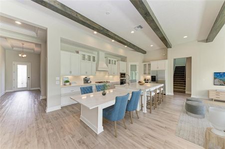 New construction Single-Family house 10073 Meadowrun Dr, Fish Hawk, FL 33547 plan Key West II - image 4