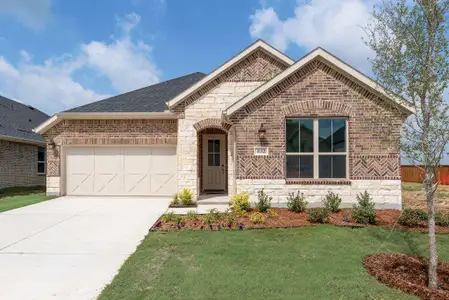 New construction Single-Family house 4112 Blackbird Ave, Little Elm, TX 75068 plan Elinor II - image