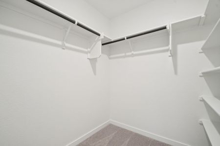 New construction Single-Family house 2279 Oscar Eli Pl, Round Rock, TX 78665 plan San Angelo II - image 17