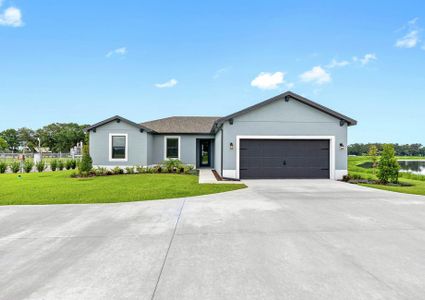 New construction Single-Family house 13408 Lake Gallagher Dr, Dover, FL 33527 plan Cedar Key - image