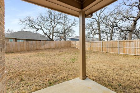 New construction Single-Family house 968 Ben Dr, Springtown, TX 76082 null- photo 31 31