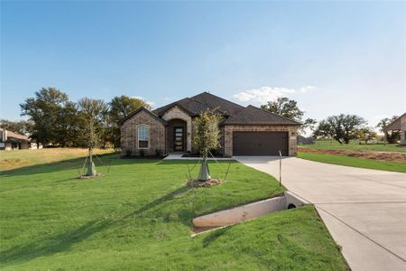 New construction Single-Family house 1128 Trinity Dr, Springtown, TX 76082 Colca II FE- photo 30 30