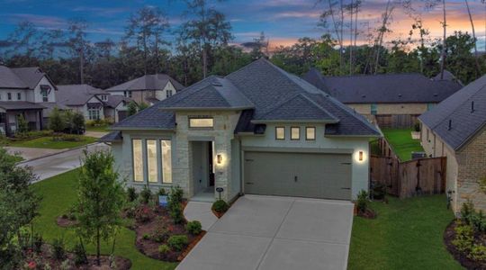 New construction Single-Family house 210 W Netleaf Ct, Montgomery, TX 77316 plan 2474W - image