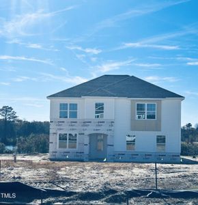 New construction Single-Family house 88 Bering Circle, Angier, NC 27501 - photo 0