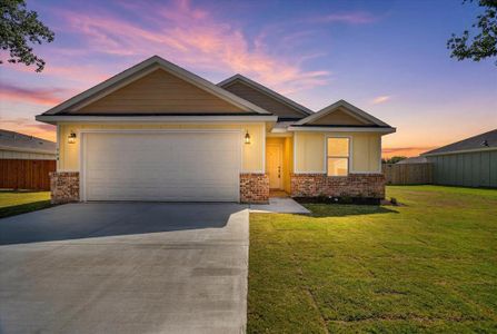 New construction Single-Family house 468 Peace Lily Wy, Tolar, TX 76476 - image