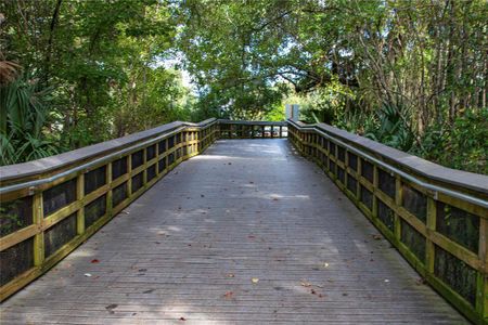 New construction Single-Family house 19610 Sw 93Rd Pl, Dunnellon, FL 34432 null- photo 75 75