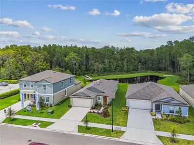 New construction Single-Family house 10077 Gentle Rain Dr, Land O' Lakes, FL 34638 - image