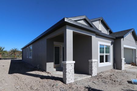 New construction Single-Family house 31229 Denham Ridge Ln, Wesley Chapel, FL 33545 Newport II- photo 32 32