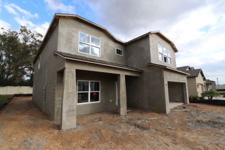 New construction Single-Family house 12008 Hilltop Farms Dr, Dade City, FL 33525 Alenza- photo 74 74