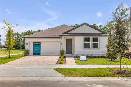 New construction Single-Family house 3354 Monaco Blvd, New Smyrna Beach, FL 32168 plan Douglas II - image