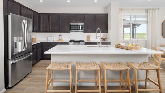 The Casitas Collection at Windler 23