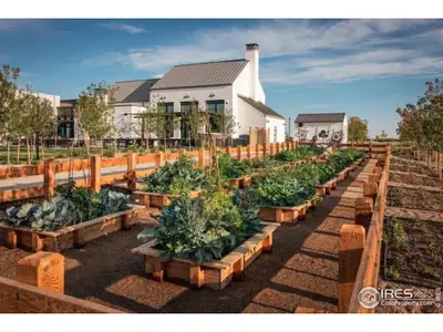 New construction Single-Family house 2749 Blue Iris Dr, Loveland, CO 80538 plan The Washburn - image