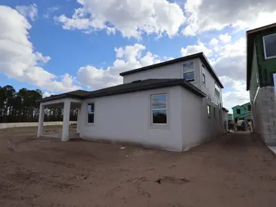 New construction Single-Family house 7879 Painted Sky Place, Land O Lks, Land O' Lakes, FL 34637 plan Newport II Bonus - image