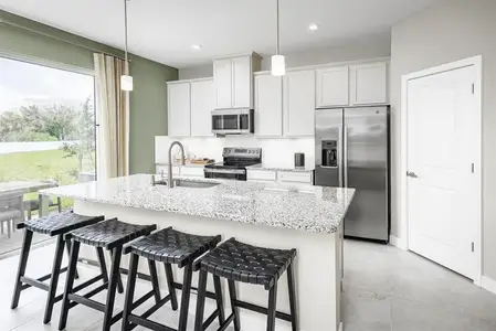 New construction Townhouse house 31399 Spanish Mission Rd, San Antonio, FL 33576 - image 3