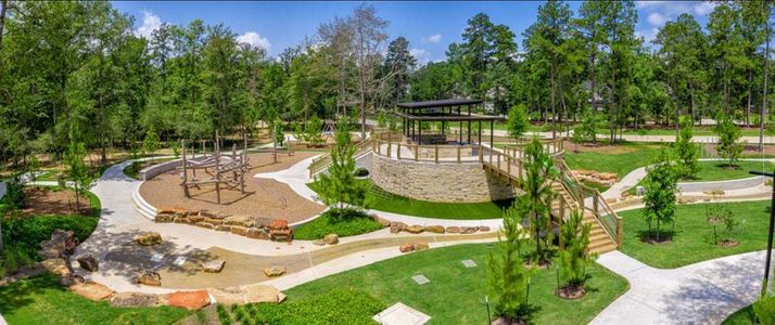 The Woodlands Hills by Century Communities in Willis - photo 1 1