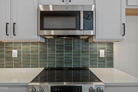 New construction Single-Family house 173 Little Lady Trl, Zebulon, NC 27597 - image 9