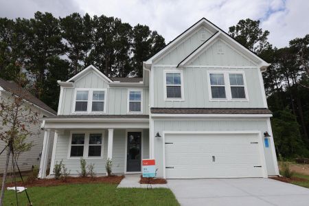 New construction Single-Family house 1059 Boyington Dr, Unit 59, Hollywood, SC 29449 - image
