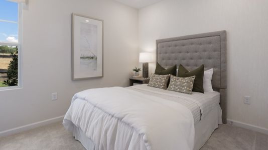 Harlowe Point by Lennar in Durham - photo 20 20