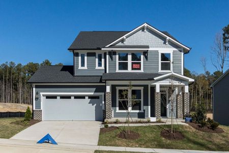 New construction Single-Family house 3391 Mission Olive Place, New Hill, NC 27562 - photo 0