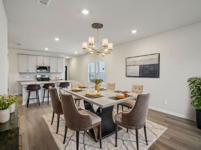 The Congaree floorplan with the Elemental interior package.