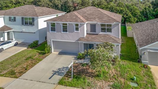 New construction Single-Family house 7737 Rosewood Garden Lp, Tampa, FL 33637 - image
