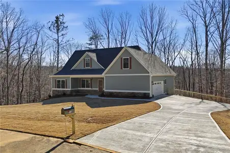 New construction Single-Family house 171 Bluff Creek Ln, Ball Ground, GA 30107 - image