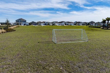 New construction Single-Family house 1996 Heart Lake Dr, Groveland, FL 34736 Gilchrist- photo 17 17