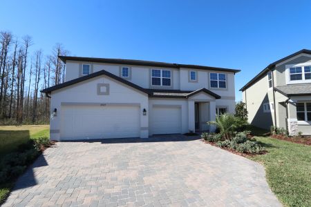 New construction Single-Family house 20125 Oriana Loop, Land O' Lakes, FL 34638 Santina II- photo 177 177