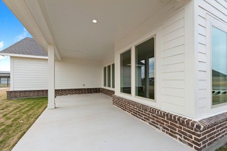 New construction Single-Family house 125 Snowy Owl Trl, New Fairview, TX 76078 plan Verbena V2 SE - image 4