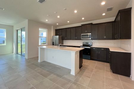 New construction Single-Family house 7020 Rolling Gardens Lp, Groveland, FL 34736 Wekiva- photo 23 23