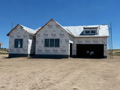 New construction Single-Family house 10350 Saint Mary Pt, Parker, CO 80138 plan The Hamilton - image