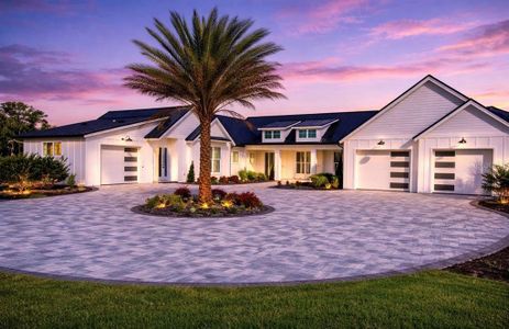 New construction Single-Family house 825 Pheasant Run Ct W, Port Orange, FL 32127 - image