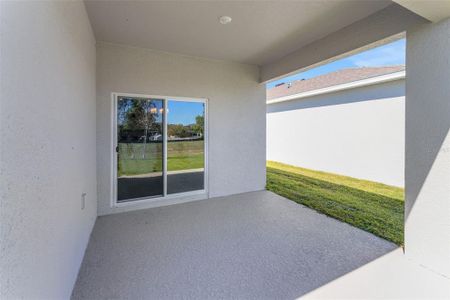 New construction Single-Family house 191 Bottle Brush Dr, Haines City, FL 33844 Mulberry- photo 73 73