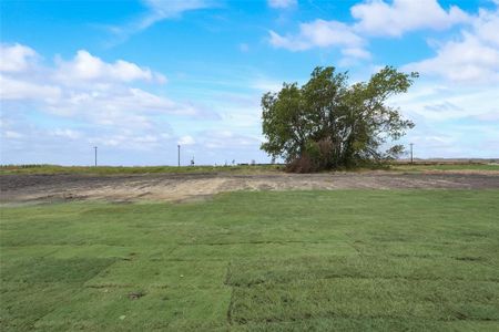 New construction Single-Family house 1117 Barrix Dr, Forney, TX 75126 null- photo 32 32