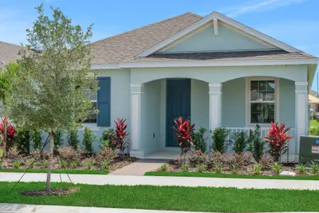New construction Single-Family house 6327 Wild Persimmon Wy, Winter Garden, FL 34787 plan Amelia - image