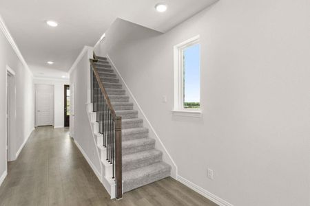 New construction Single-Family house 252 Bright Alcove Ct, Lavon, TX 75166 plan Walton - image 17