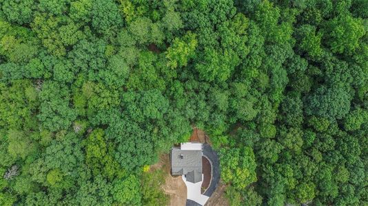 New construction Single-Family house 629 Butterworth Rd, Canton, GA 30114 - image
