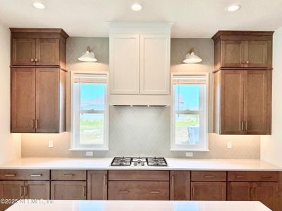 New construction Single-Family house 269 Pasarela Dr, Saint Augustine, FL 32095 null- photo 17 17