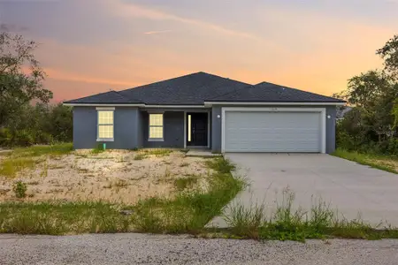 New construction Single-Family house 1219 Alafia Wy, Kissimmee, FL 34759 - image